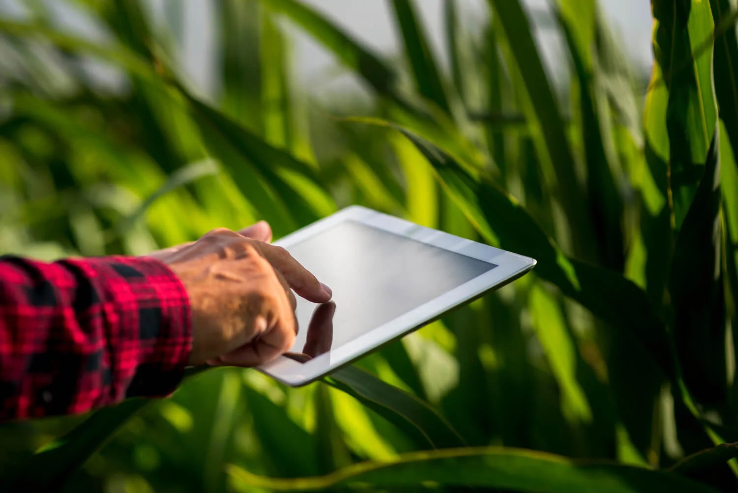 Le LFDay 2024 de La Ferme Digitale le 21 mai à Paris