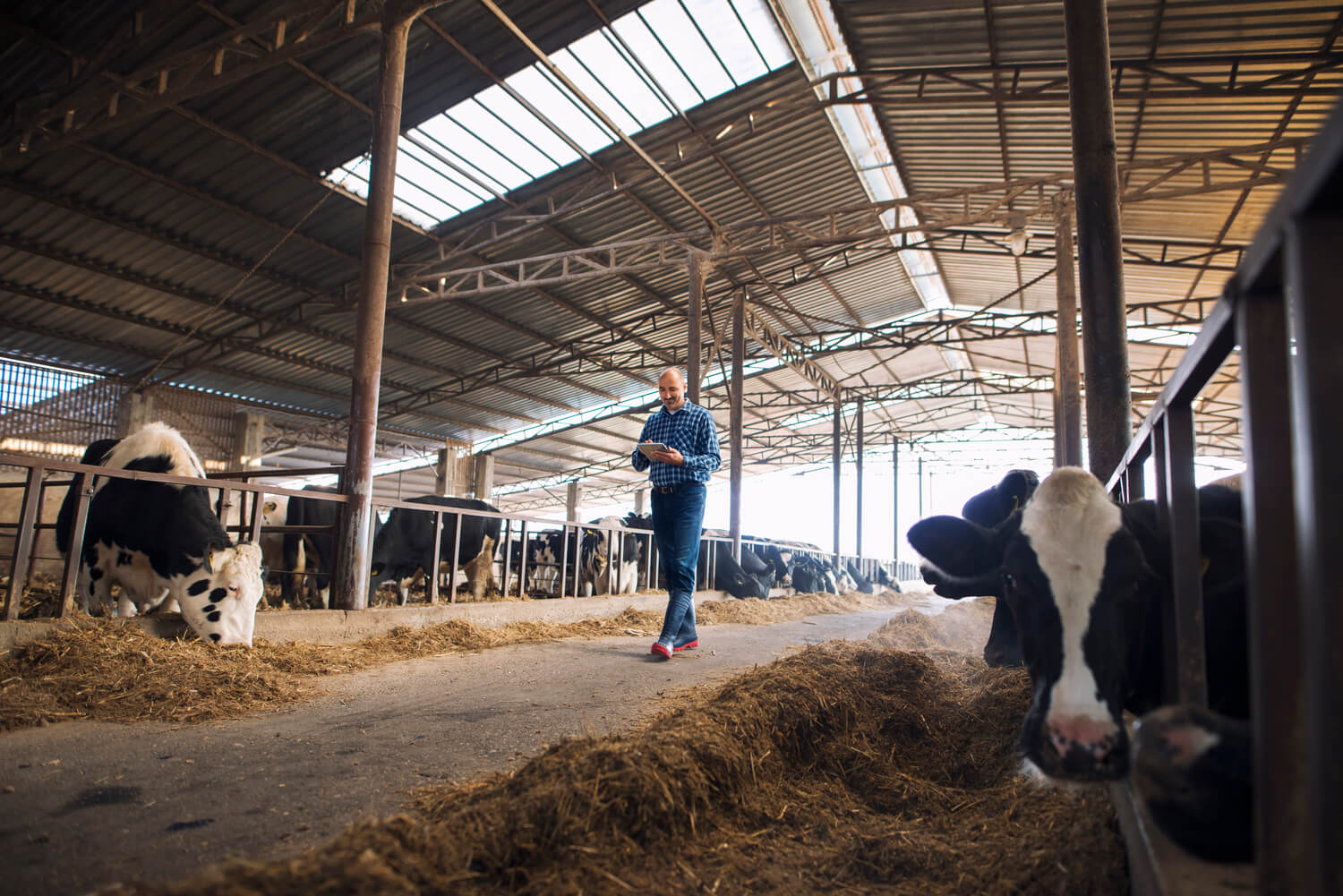 Connaissez-vous les OAD – Outils d’aide à la décision agricole ?
