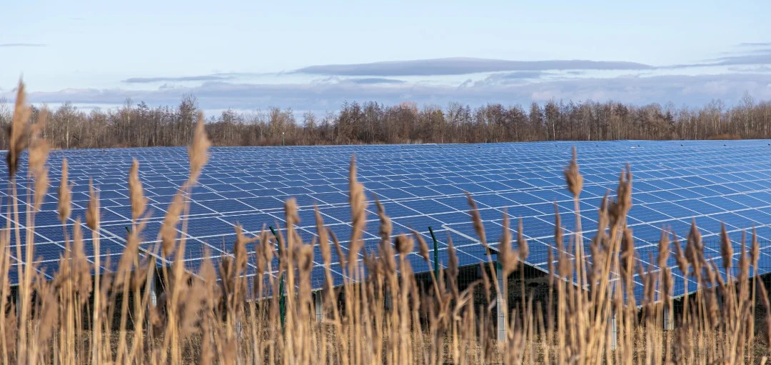 Agrivoltaïsme : une solution d’avenir dans l’agriculture
