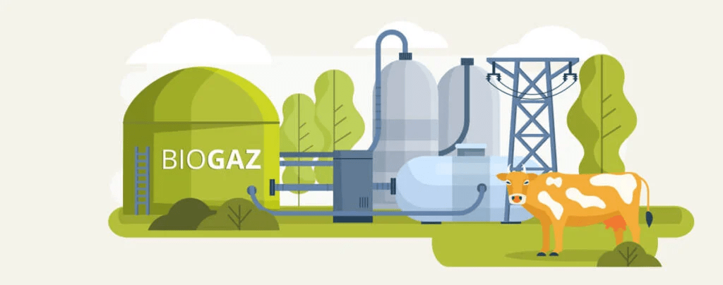 Tout savoir sur les digesteurs dans l’agriculture
