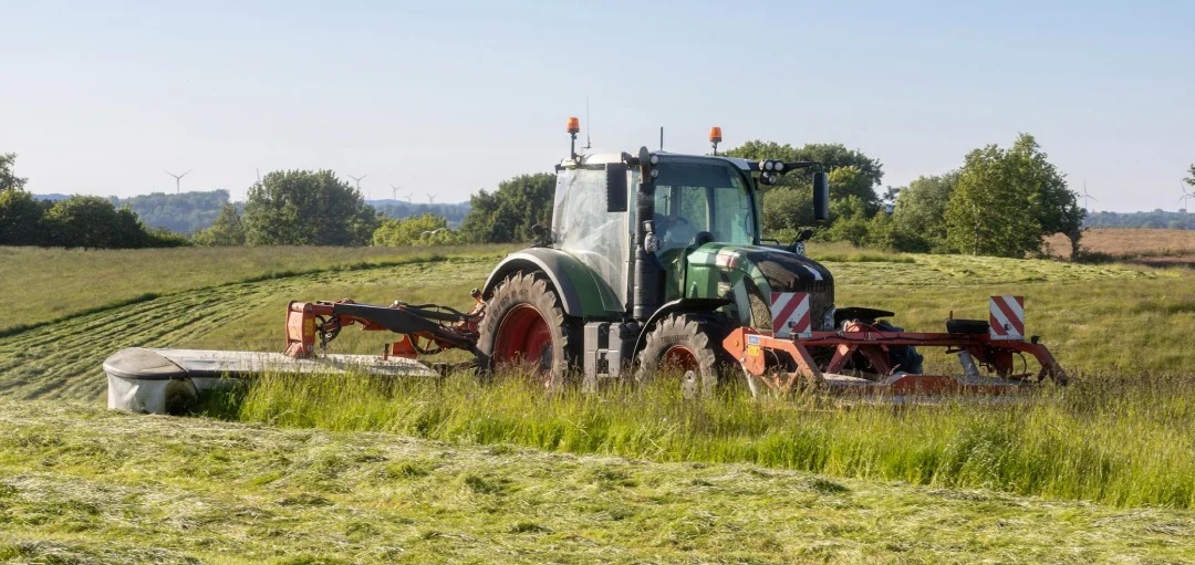 La fenaison : récolte et conseils pratiques